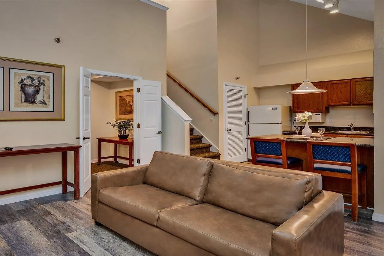 Chase Suite Hotel Rocky Point Tampa